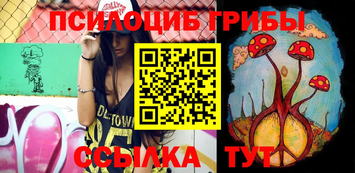 Псилоцибиновые грибы MAGIC MUSHROOMS  Вход с VPN  где купить наркоту  Лесосибирск 