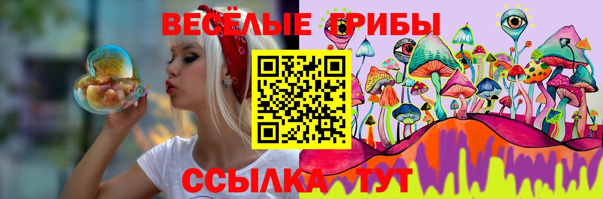 Псилоцибиновые грибы Psilocybine cubensis Лесосибирск